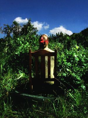 Untitled or The Contemplation | From Mimicry Serie