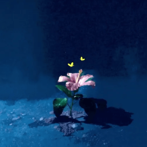 Flower003