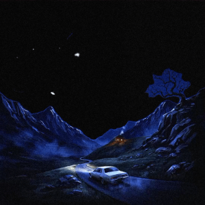 night trip