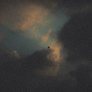 Elsewhere