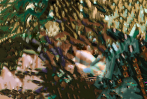 In the Weeds