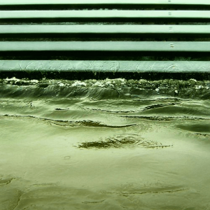 Untitled | From Running Water Series