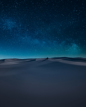 DUNESCAPE X