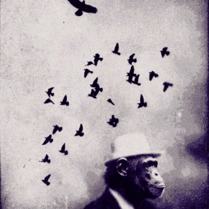 Monke Freedom of Thought