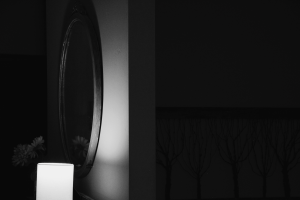 _reflected