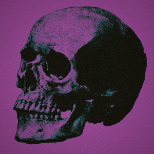 Plate V.01