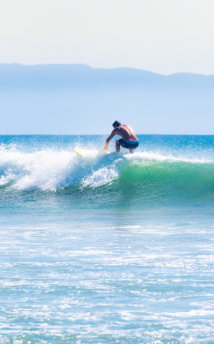 Ride The Wave