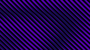 M210131021