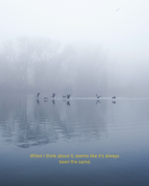 When I think about it, seems like it's always been the same.