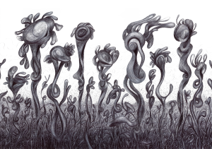 Nameless Flowers