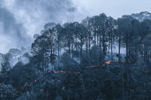 Fire Knows No Barrier
