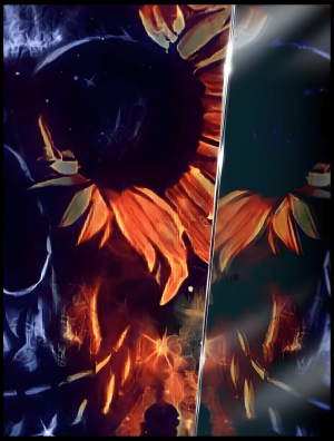 Shades of Reflection