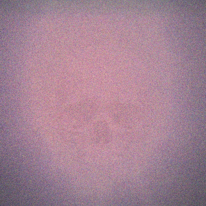 RB_29