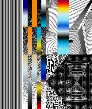 Evolution