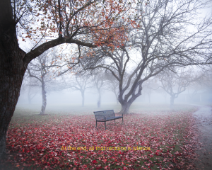 At the end, all that remains is silence.