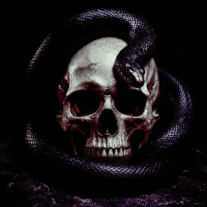 Another Skull
