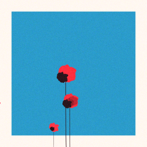 Poppies of Normandy