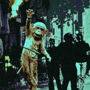 The Last Monke Standing