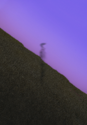 Wandering Soul