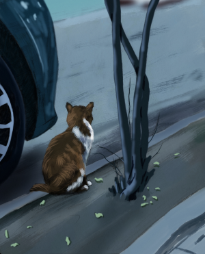 The Silent Observer