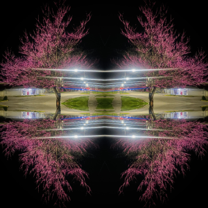 STRΞET ART