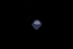 Window with one eye