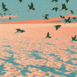 Transient