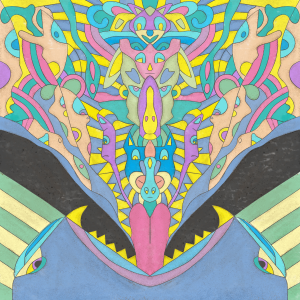 Great Attractor