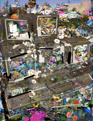 Public Domain