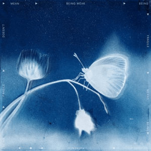 zero_15