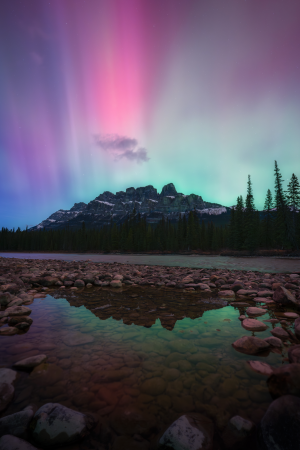 Northern Throne