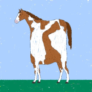 horse