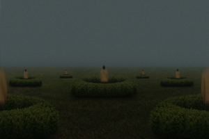 Silence Within the Hedge
