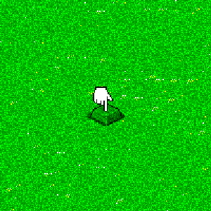 Press Grass