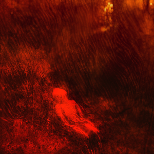 Untitled | From Darshan Serie