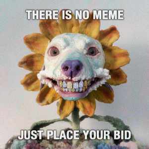 there is no meme