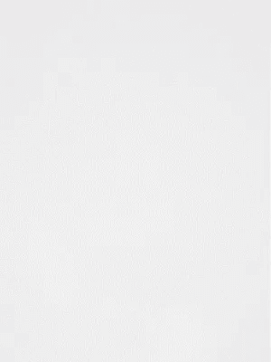 Untitled #2