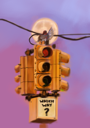 WHICH WAY ?