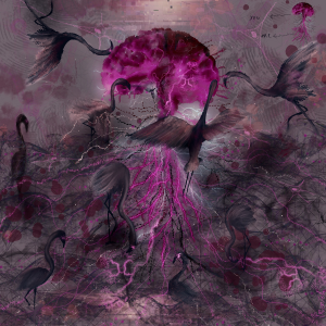 Pink Roots
