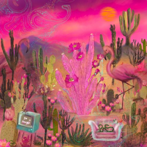 Pink cactus
