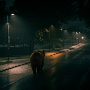 Bear with Me