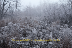 The only way to fight the cold is to become colder than it is.