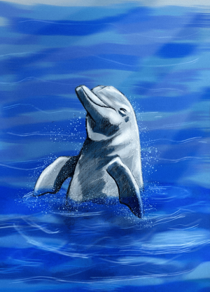Ocean’s Smile