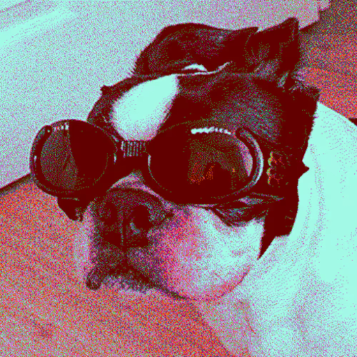 DOG WIF GOGS 