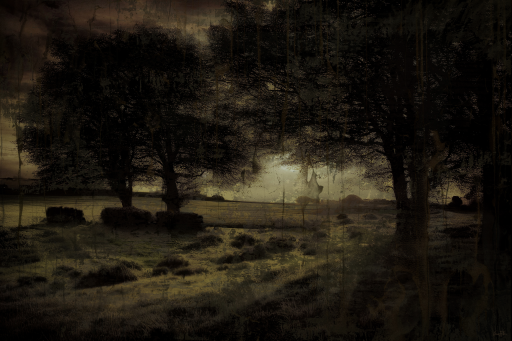 Emergence