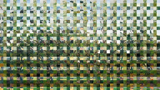 Tree Studies