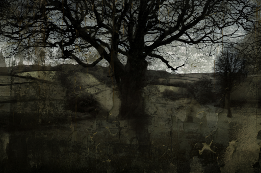 Sentinel
