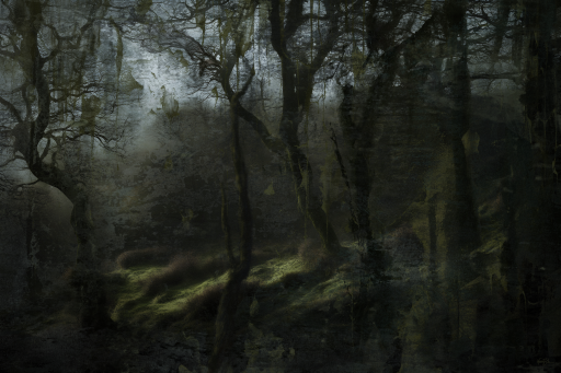 Remnants