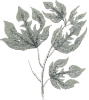 daun daunan
