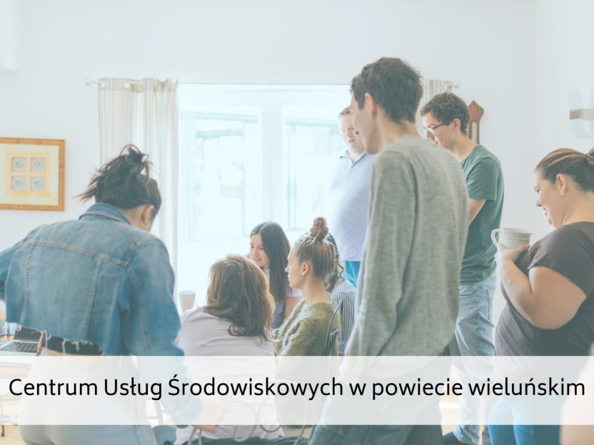 Centrum Usług Środowiskowych w powiecie wieluńskim